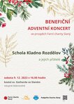 Benefiční koncert 1 (2)
